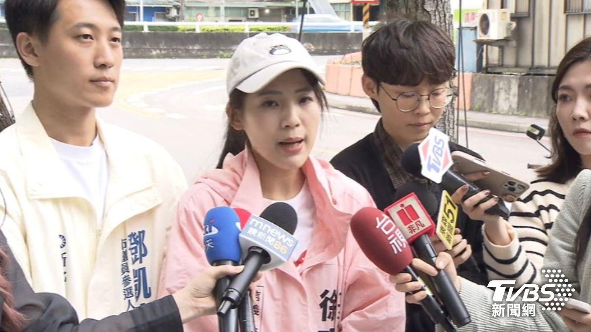 徐巧芯（圖／TVBS資料畫面）