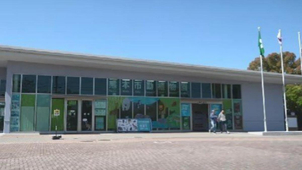 熊本市動物園意外！飼養員遭「1噸重犀牛」撞擊　頭部流血重傷