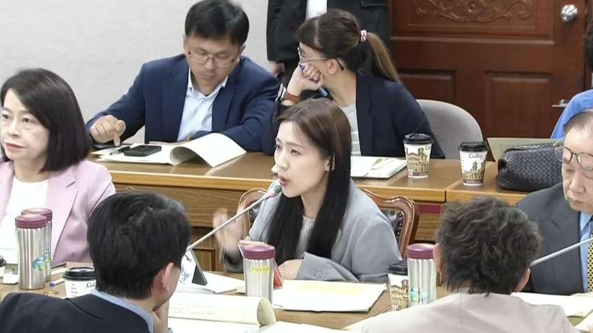 藍委徐巧芯提到，整批軍售經她計算「大概要8千億元」。（圖／國會頻道）