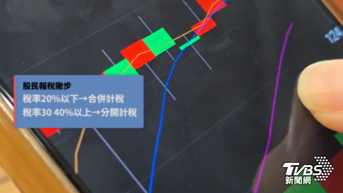 股民留意報稅方式。(圖/TVBS)