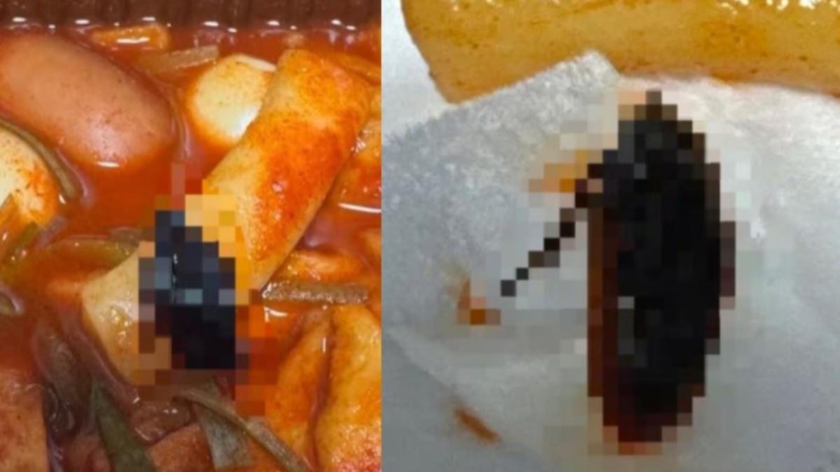 一名網友指控韓國知名辣炒年糕連鎖品牌，餐點中混入蟑螂。（圖／翻攝自健康朝鮮）