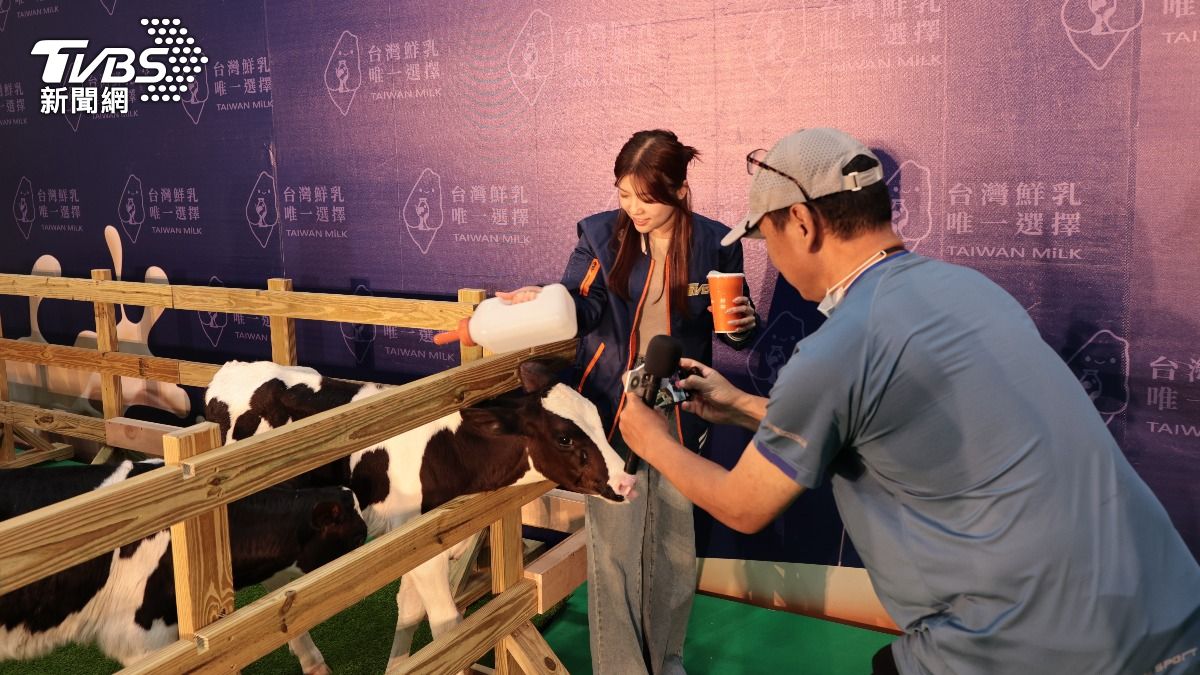 全台2萬多飲料店搶市場,連鎖加盟協會來台中舉辦展覽,帶3隻乳牛到場,要用台灣鮮奶玩創意飲品搶攻商機。(圖/業者Hank拍攝)
