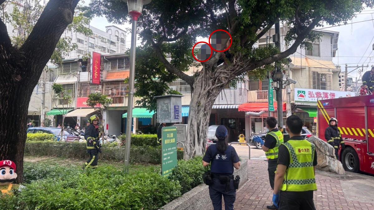 台中2男嫌太熱!「拎啤酒爬2米樹」下不來 赤膊等救援畫面曝