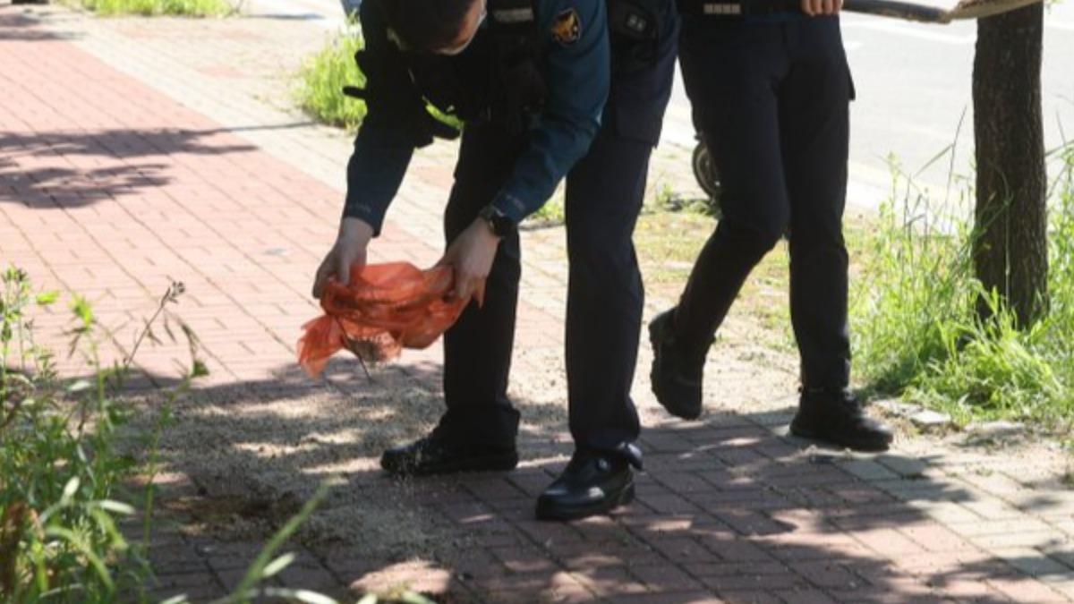 南韓光州爆街頭隨機刺人！女學生「慘遭割頸」慘死　兇嫌仍在逃