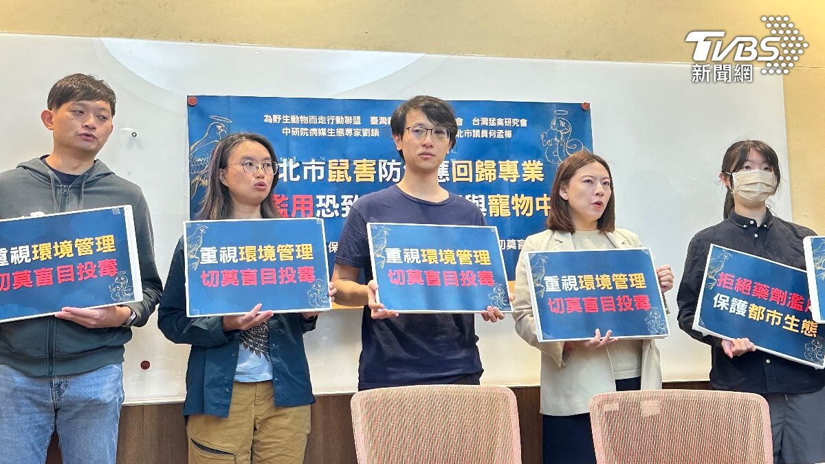 北市鼠患升溫!野保團體憂投藥有風險 綠:蔣市府別躲在數字後
