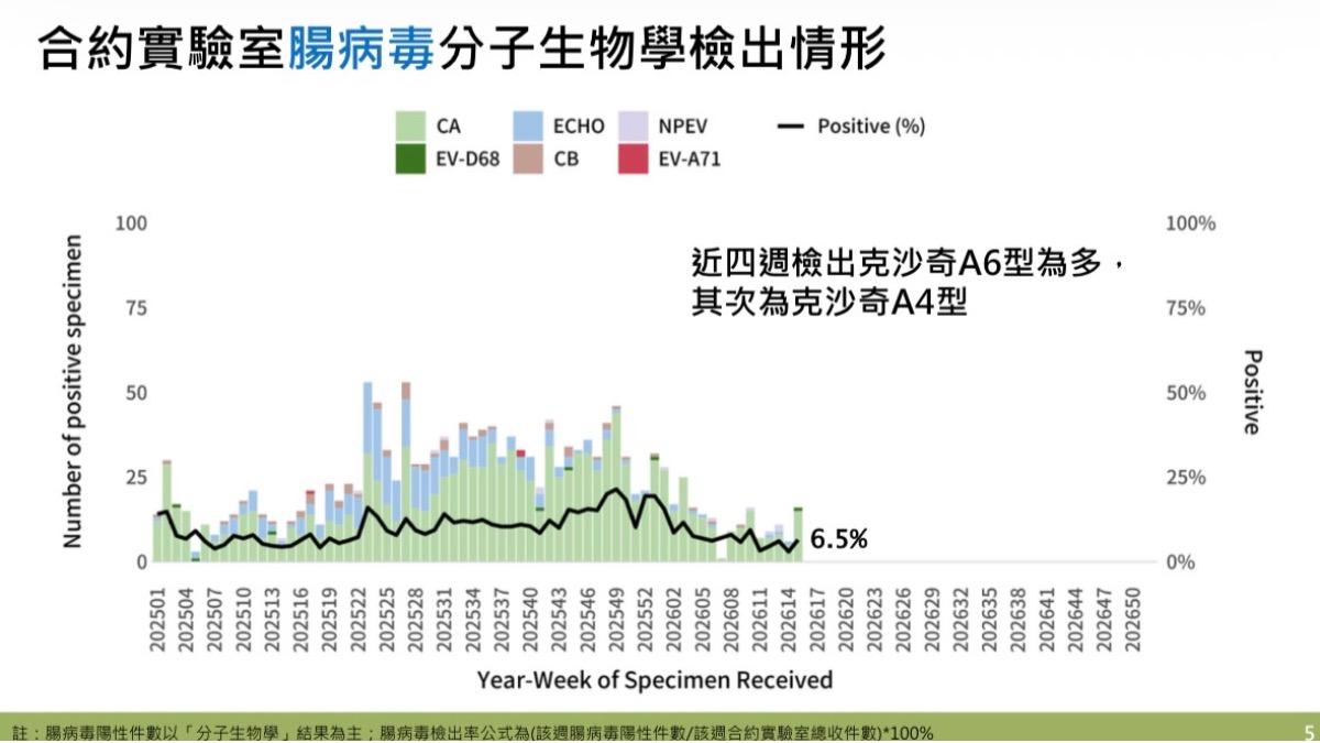 目前國內社區流行腸病毒型別為「克沙奇A6型」。(圖/CDC)