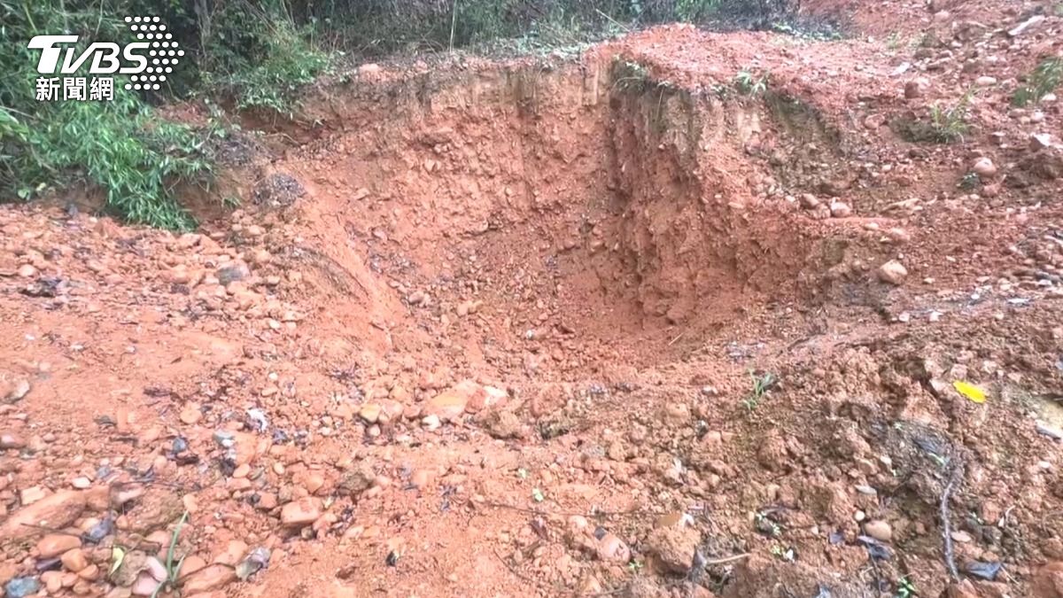 農地遭人傾倒大量紅土及營建廢棄物,原本種植油杉樹的綠地如今被廢土填平。(圖/TVBS)