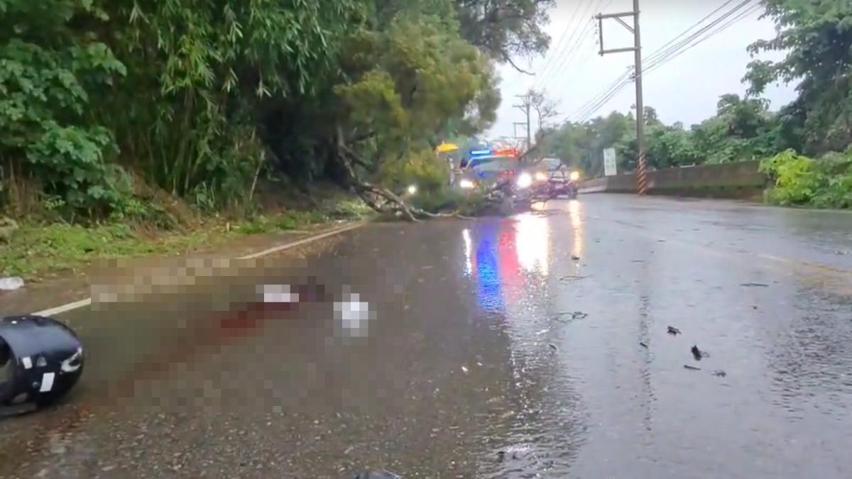 苗栗大雨釀2起路樹倒塌!頭份騎士「濺血命危」 苑裡5車壓毀