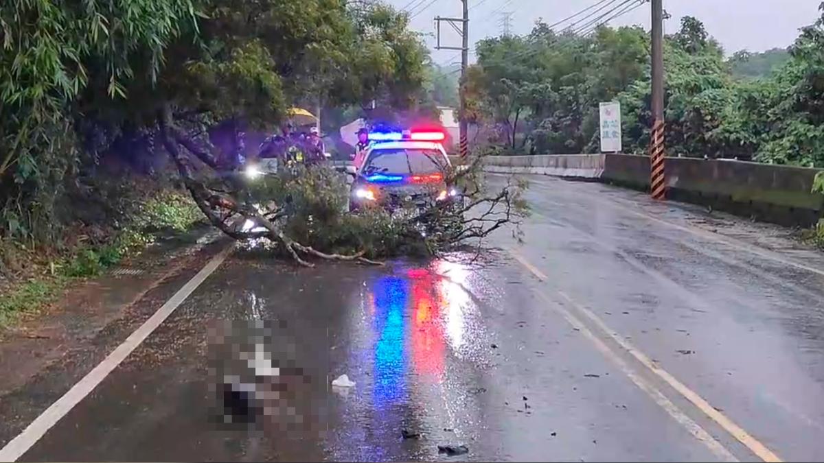 機車騎士行經頭份市興隆區一段遭路樹壓住，安全帽跌落地面。（圖／TVBS）