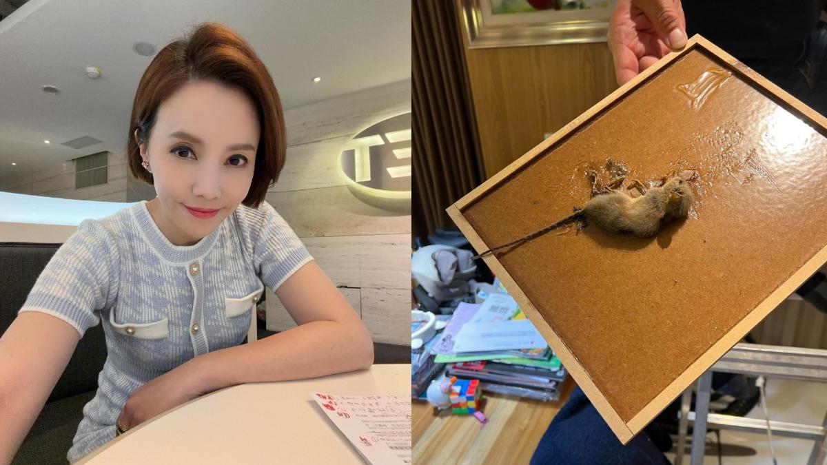 洗冷氣驚見老鼠!美女主播崩潰「我要昏倒了」 驚悚畫面曝光