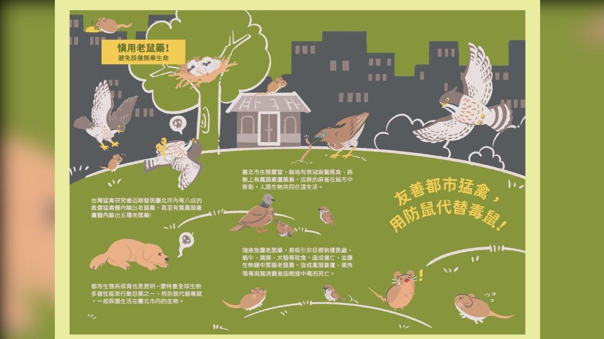 防誤食鼠藥!民團推捕鼠籠優先 注意毛孩是否抽搐走路歪