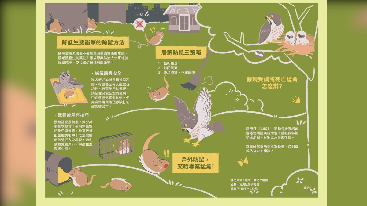 台灣猛禽研究會認為要降低生態衝擊,除鼠應以捕鼠籠取代滅鼠藥。(圖/台灣猛禽研究會FB)