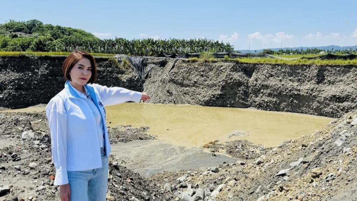國民黨立委陳菁徽質疑環境部過去沒要求美濃大峽谷、馬頭山廢棄物等案要求天天報告，卻建議北市天天報鼠患。（圖/翻攝陳菁徽臉書）