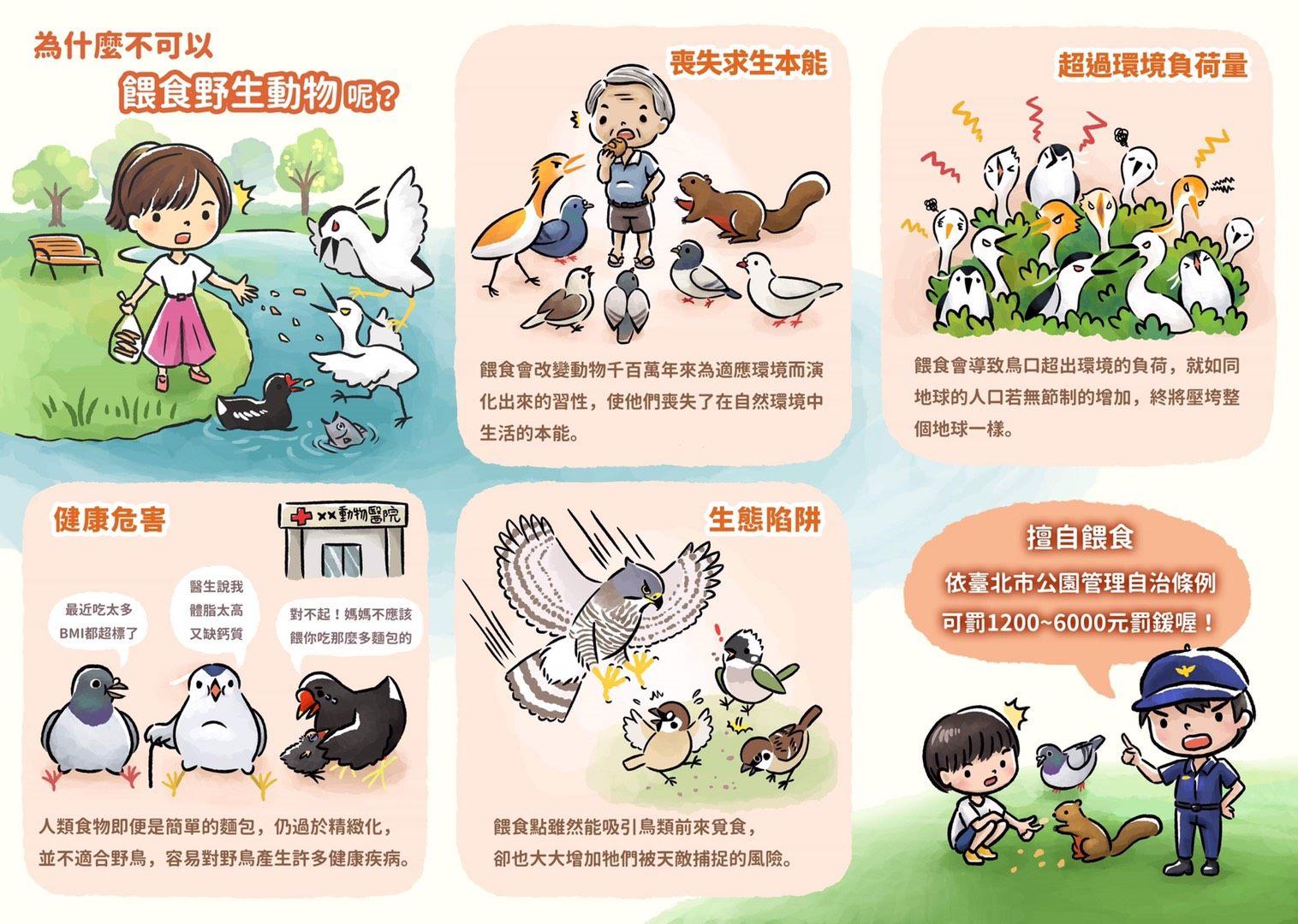 台北鼠患-台北老鼠-台北市公園-公園野生動物-餵食野生動物
