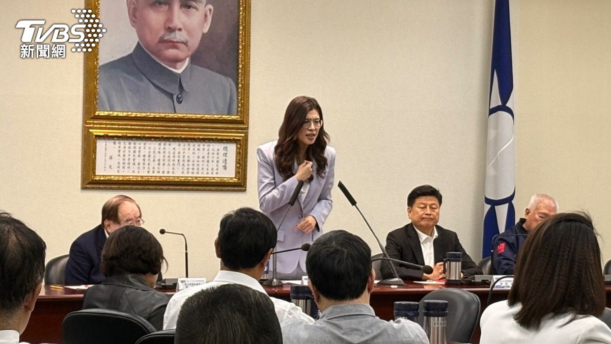曝軍購發價書「僅3000億」 鄭麗文夜談黃國昌共識:+N明確化