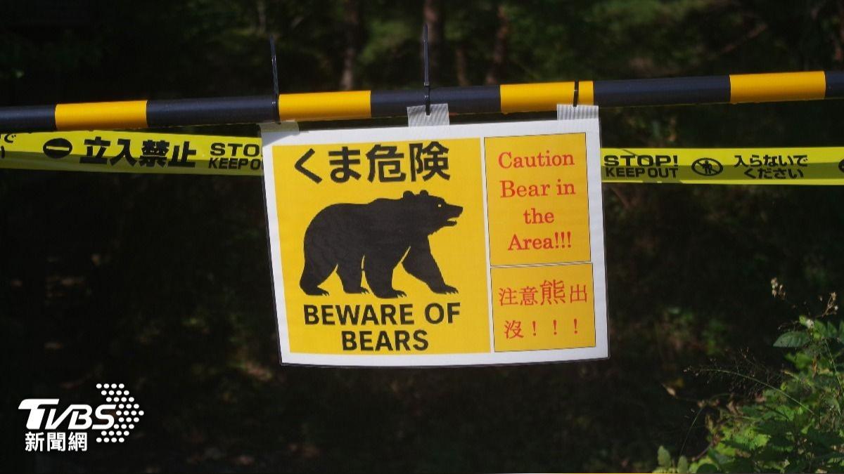 日本4月至今已確認12起熊害，造成兩人死亡。（示意圖／達志影像 shutterstock）