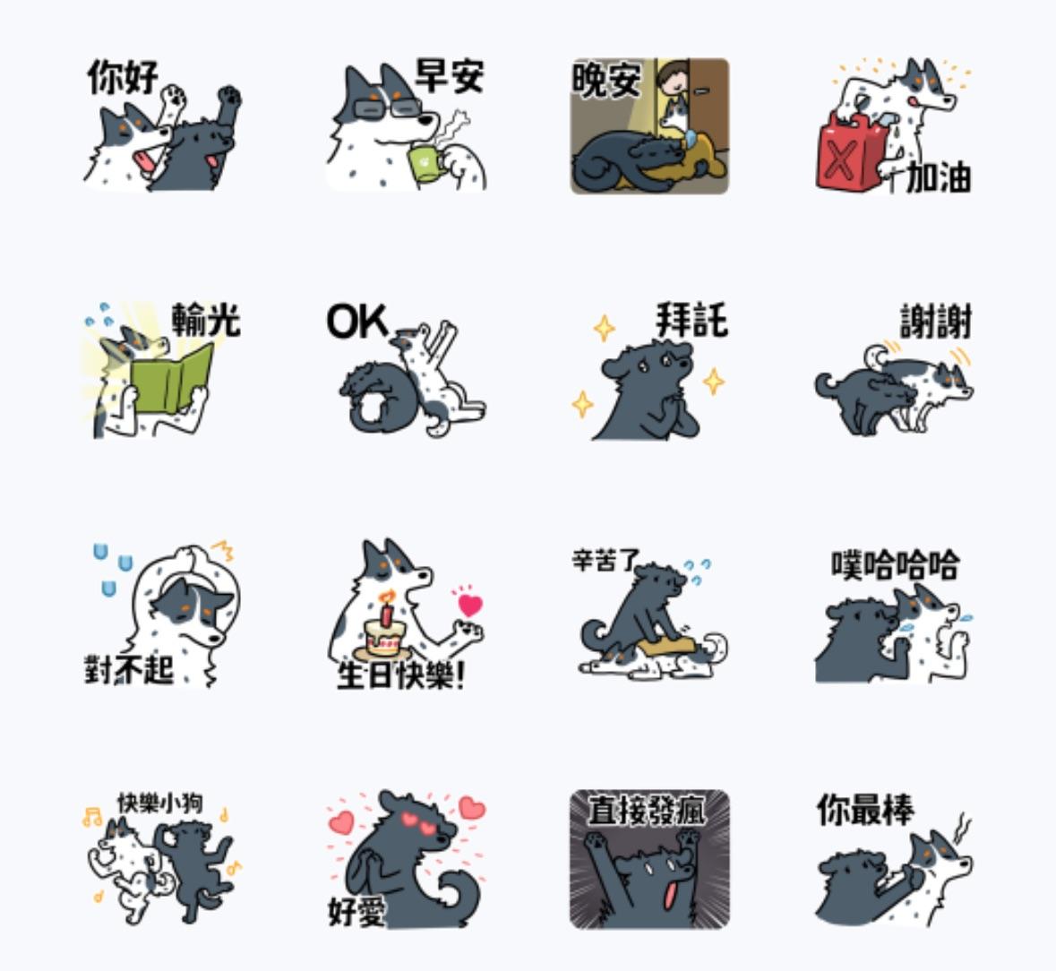 LINE購物直播 × 町町噹噹狗生活。（圖／翻攝自LINE）