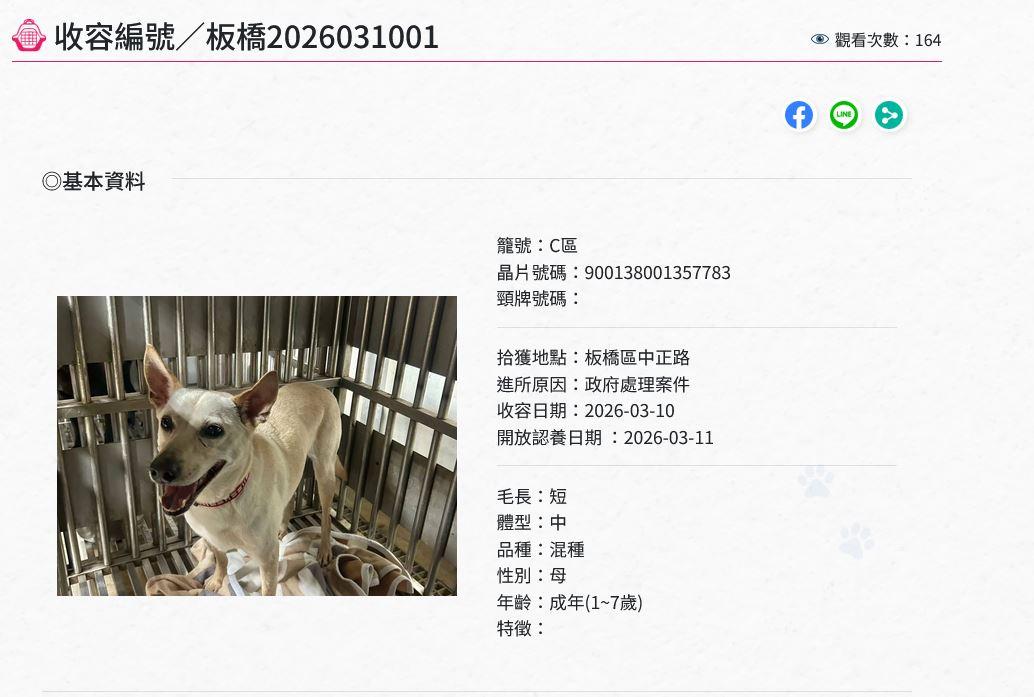 犬隻目前被安置在板橋動物之家。（圖／動保處提供）