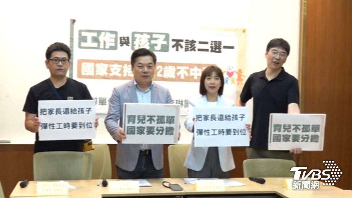 綠委與勞工托育民團（圖／TVBS資料畫面）