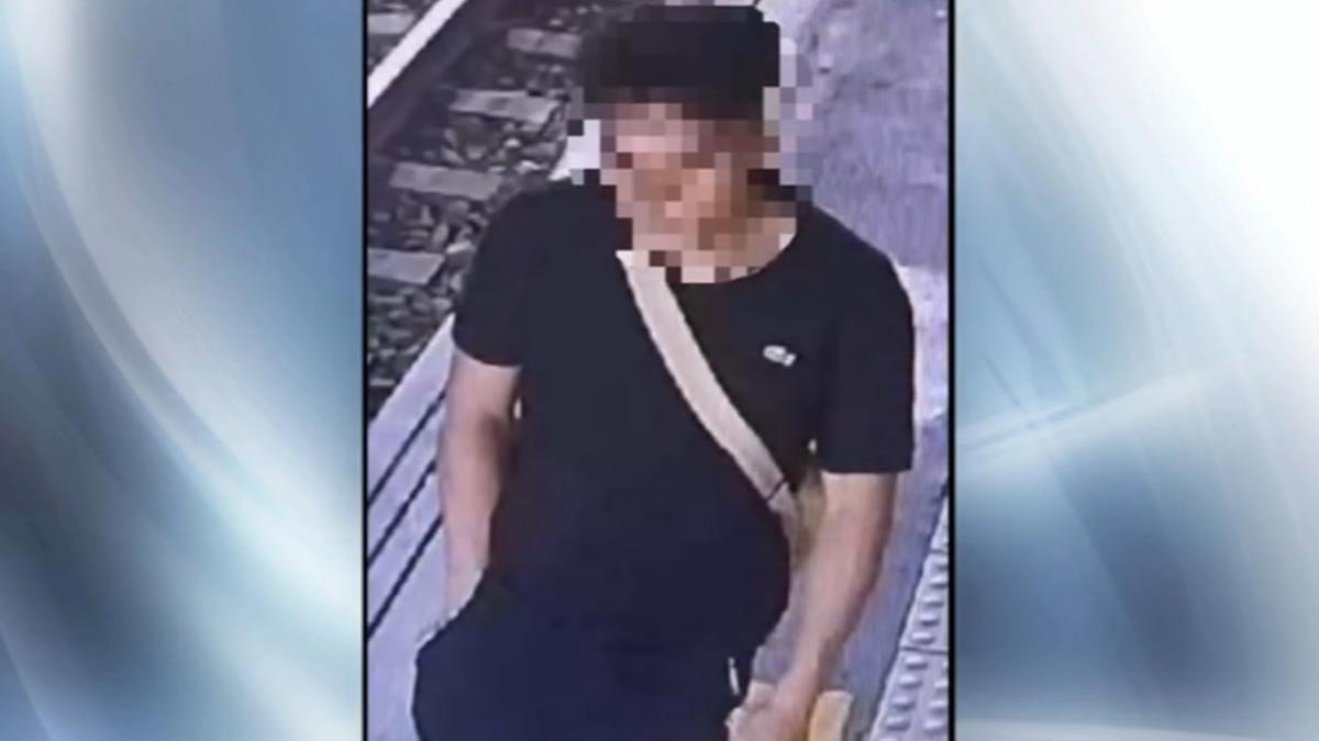 30歲葉姓男子闖入台鐵月台,隨意亂按按鈕。(圖/翻攝三鐵情報社)