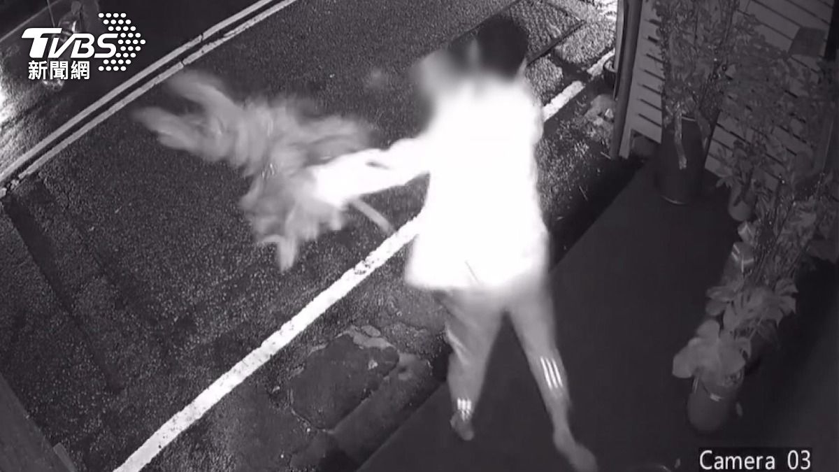 醉男怒砸盆栽　被抓包後秒掃殘局   受害店家形容「喝醉的皮克敏」