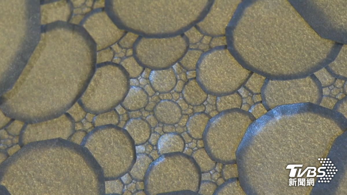 跳脫折紙都是直線的思維,羅浦堤折出驚艷世界的作品《夢幻泡影》。(圖/TVBS)