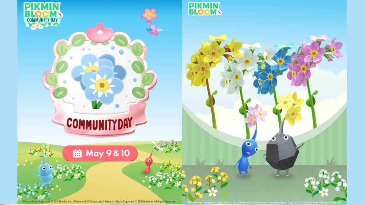 皮克敏社群日5/9-5/10 「勿忘草、徽章、打蘑菇」攻略一次看