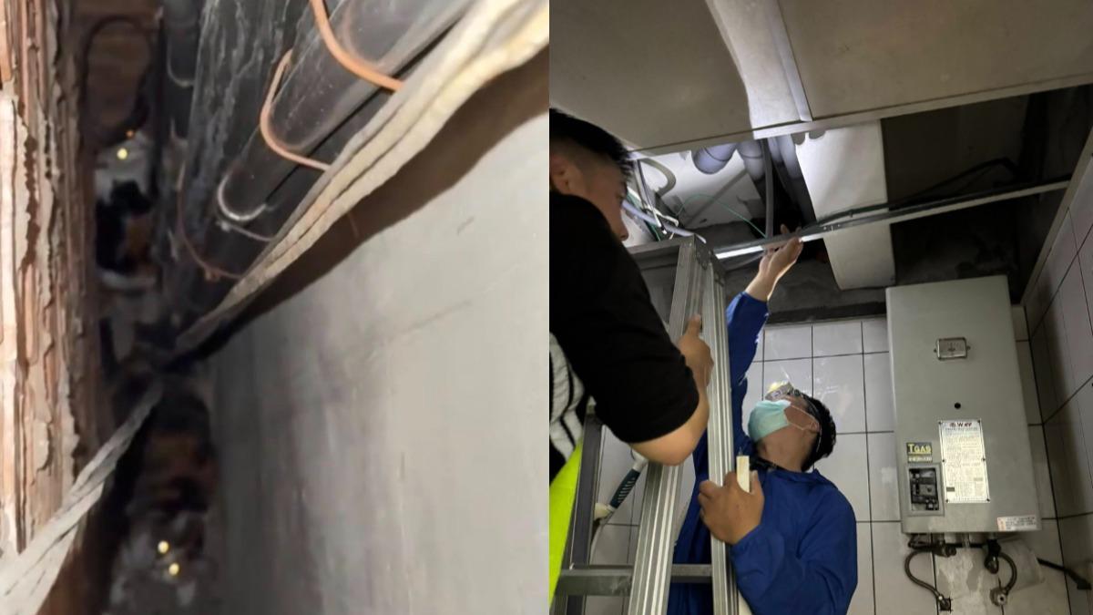 2隻貓咪掉到輕鋼架隔間旁的水泥牆縫中，另有貓咪躲入隔層。（圖／翻攝自臉書社團法人新竹縣流浪動物珍愛協會）