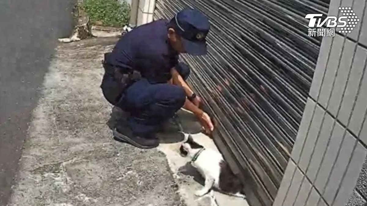 警方徒手撐門將小貓救出。(圖/TVBS)