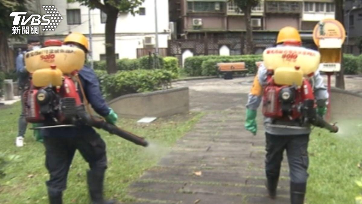 北市全面滅鼠！　本周大清消　12行政區接力。（圖／TVBS）
