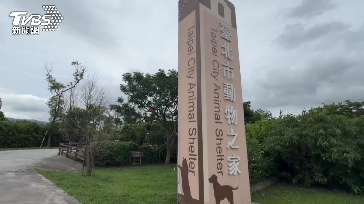 王小姐表示,收容所裡面有一千多隻動物,但獸醫卻不到十位,質疑收容所醫療資源不足。(圖/TVBS)