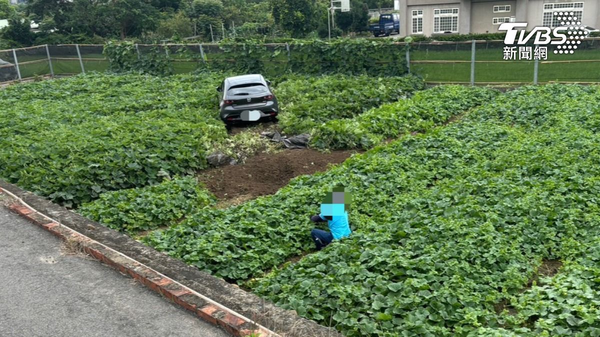 葉男被驗出有酒精反應。（圖／TVBS）