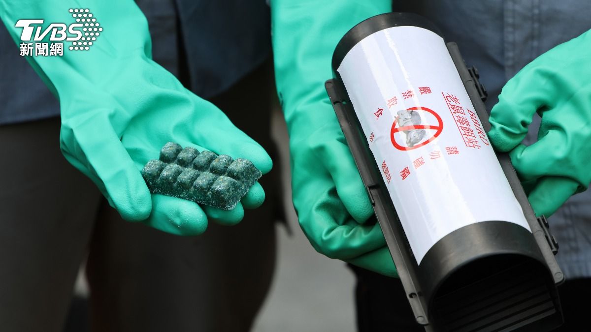 台北市-鼠患-安鼠之亂-鼠患台北-鼠患清消-PETA亞洲善待動物組織-台北市鼠患-黏鼠板-人道捕鼠-虐待動物