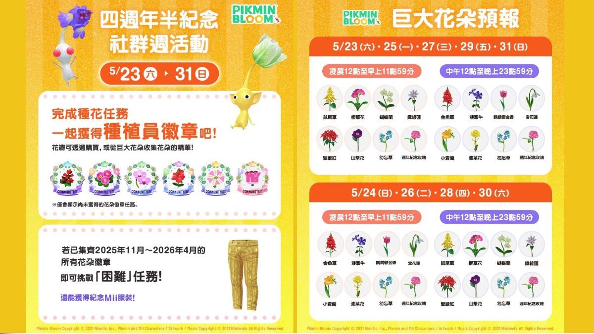 皮克敏四週年半紀念活動,有巨大花朵輪流綻放。(圖/皮克敏官網)