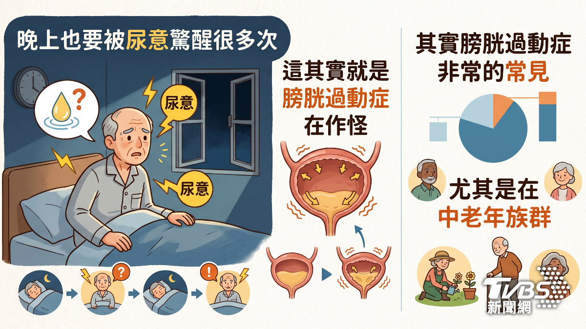 膀胱過動症不是老化!醫曝頻尿.夜尿.急尿關鍵原因 (圖/TVBS)