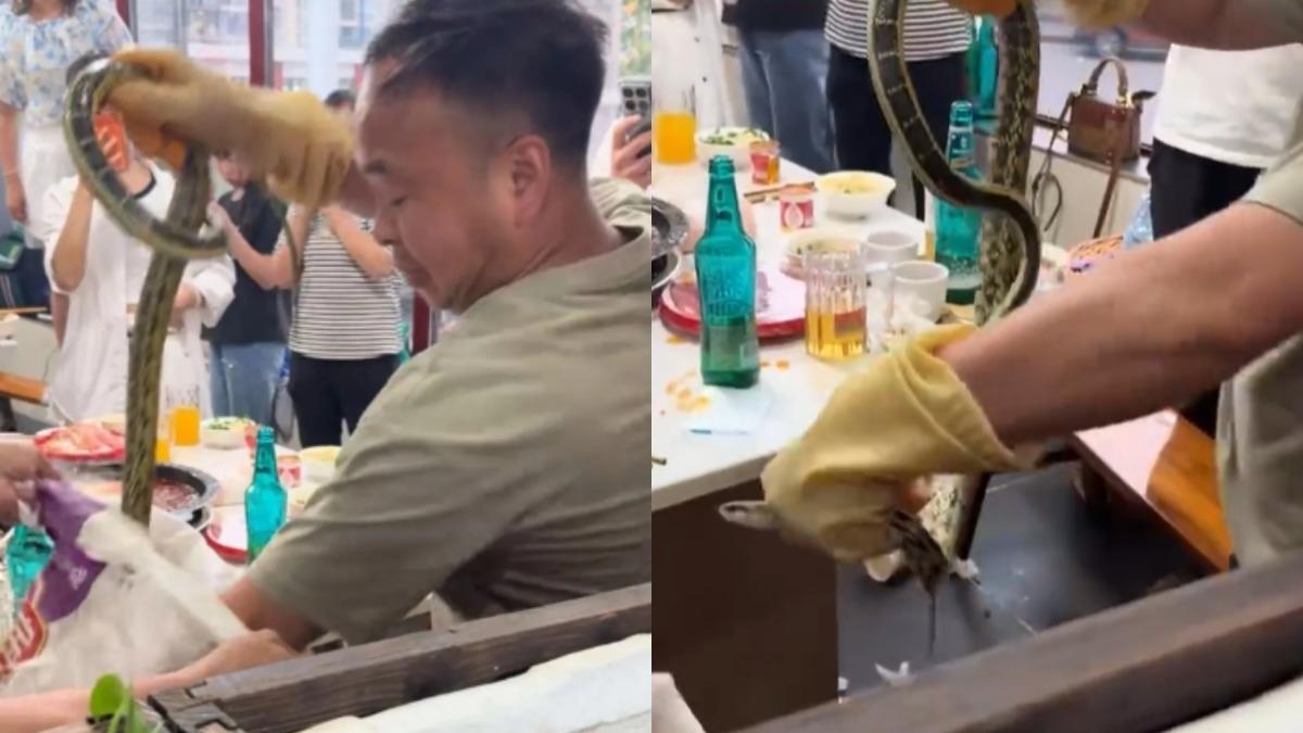 吃火鍋旁邊「竄出活蛇」!顧客嚇瘋 急跳椅保命