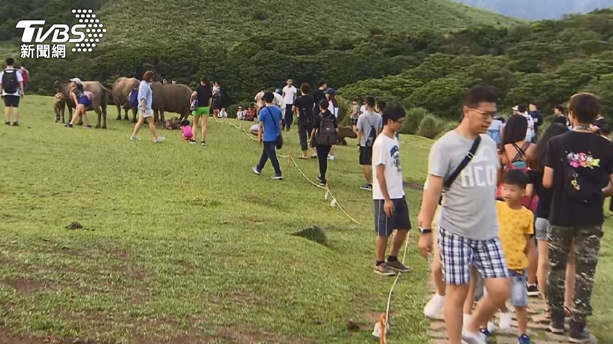 提槍上陣全被拍!擎天崗情侶「野戰」萬人直擊 陽管處急撤直播