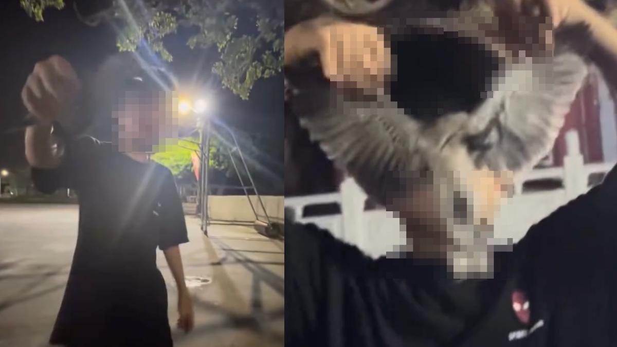 男國中生虐待野鳥影片PO上網引發網友撻伐。（圖／翻攝自網路）
