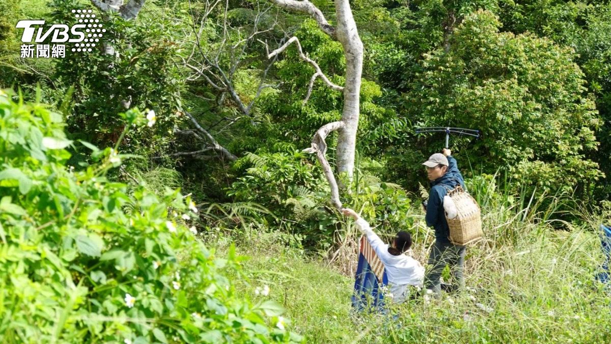 林業署台東分署今天將四月受困的年輕台灣黑熊野放山林,並替牠戴上GPS監測頸圈,以便後續觀測。(圖/TVBS)