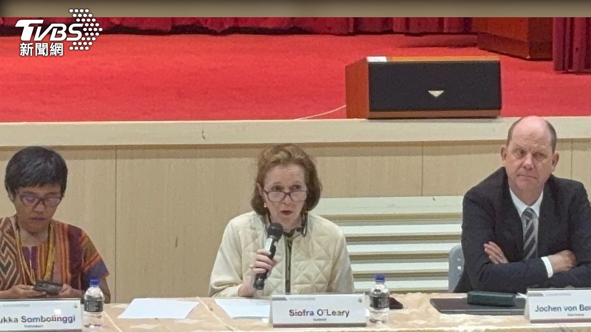 人權專家Siofra O’Leary認為大法官缺額,衝擊人權保障。(圖/潘千詩攝)