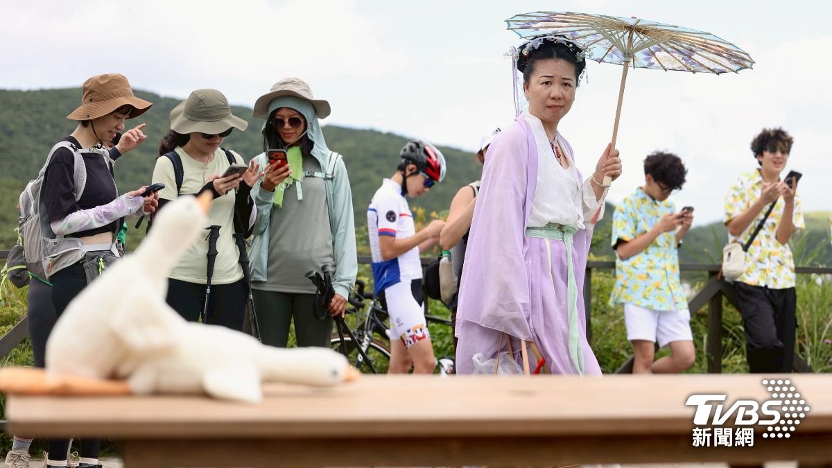 擎天崗遊客不減!當事野戰桌「兩隻巨鵝」神還原 民眾笑了狂拍