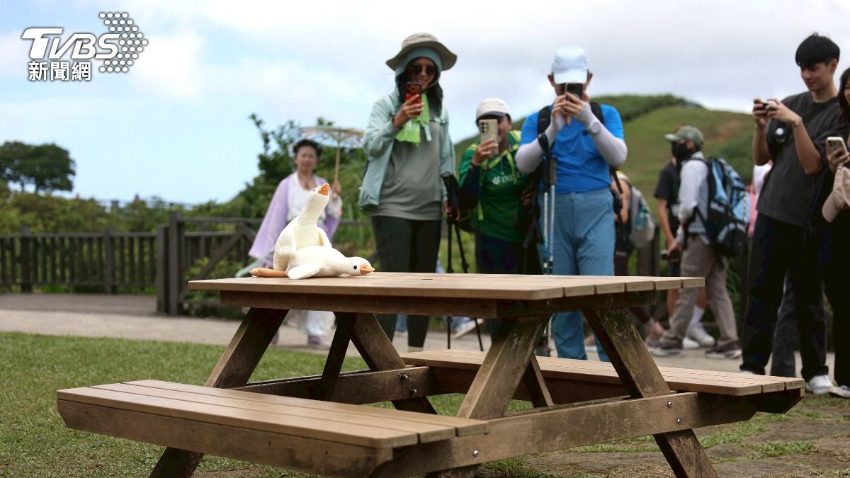 遊客看到這一幕都狂拍。（圖／華子琛攝）