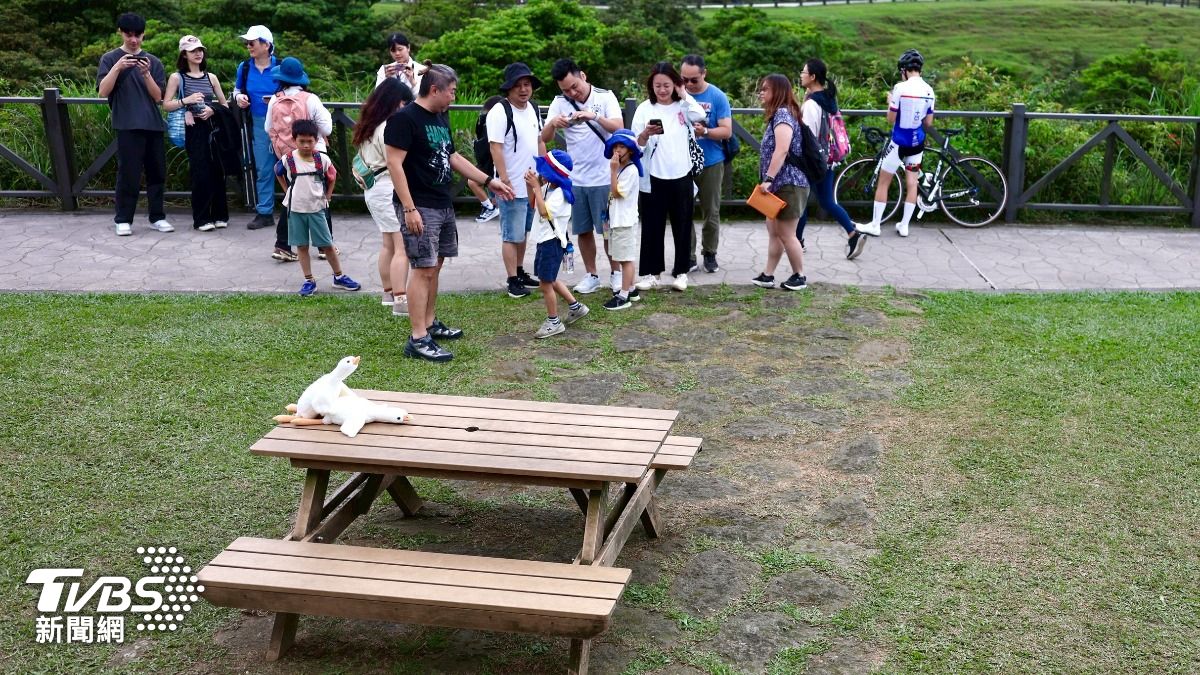 擎天崗掀音樂祭亂象!高中生籲收斂「那是國家公園」:要有環境意識