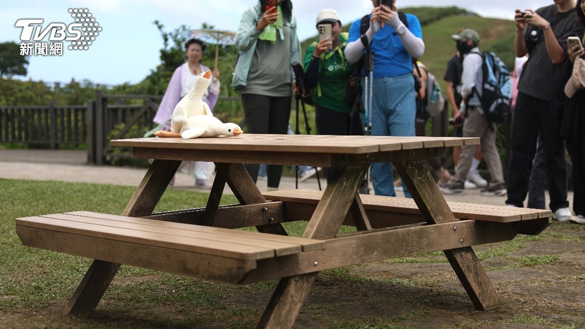 擎天崗激戰「一砲而紅」!男子持續神隱 警正式寄通知