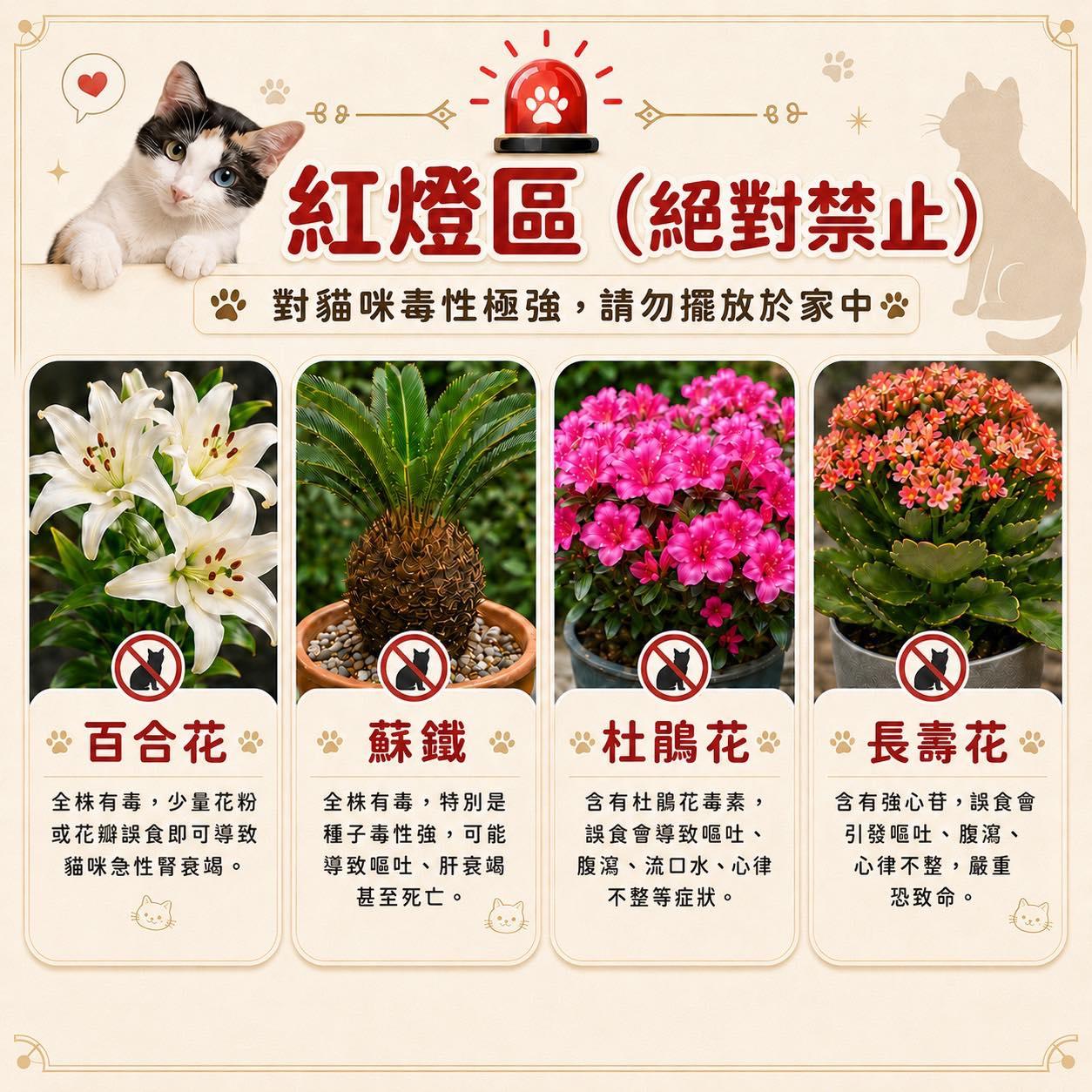 紅燈區植物絕對禁止。(圖/翻攝自新北市動保處臉書)