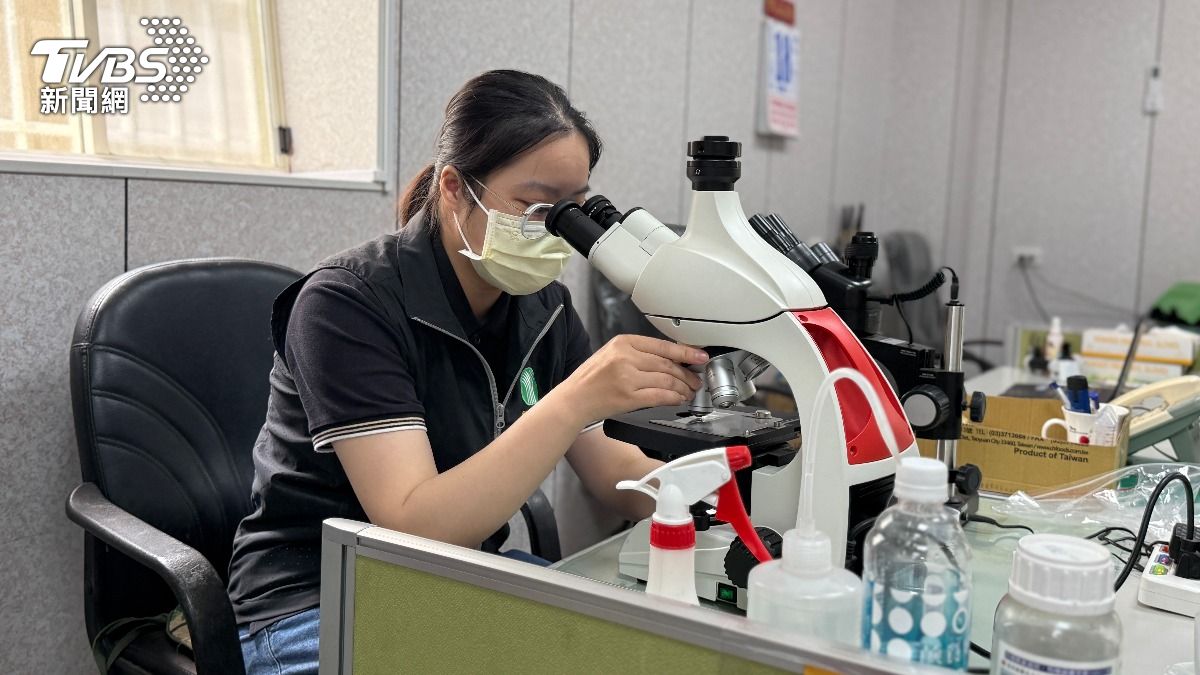 潘顯柔畢業於國立中興大學植物病理學系，也是全台首屆「植物診療師國考」合格診療師。(圖／桃園市觀音區農會）