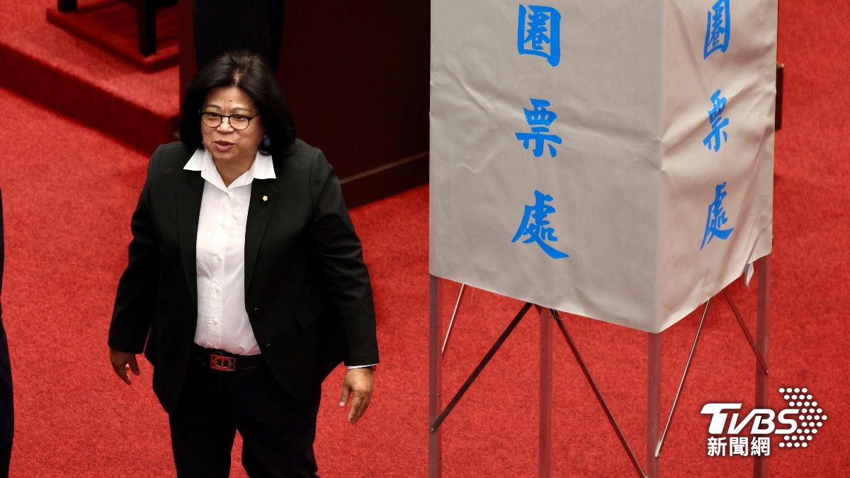 民進黨立委王美惠邊投票邊罵「浪費時間」。(圖/華子琛攝)