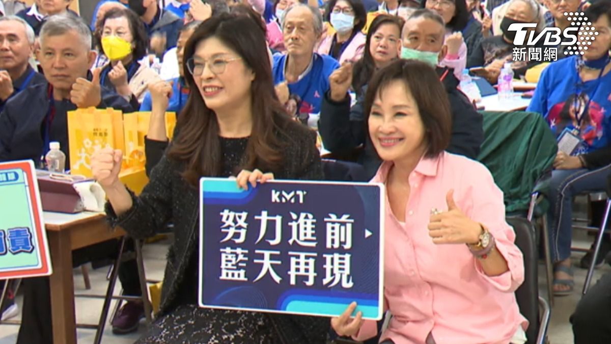 黨內要角看衰國民黨年底選情,預言現有席次恐掉3縣市。(圖/TVBS)