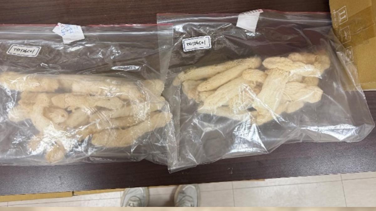 桃園的彭園會館竹笙驗出重金屬超標。（圖／食藥署提供）