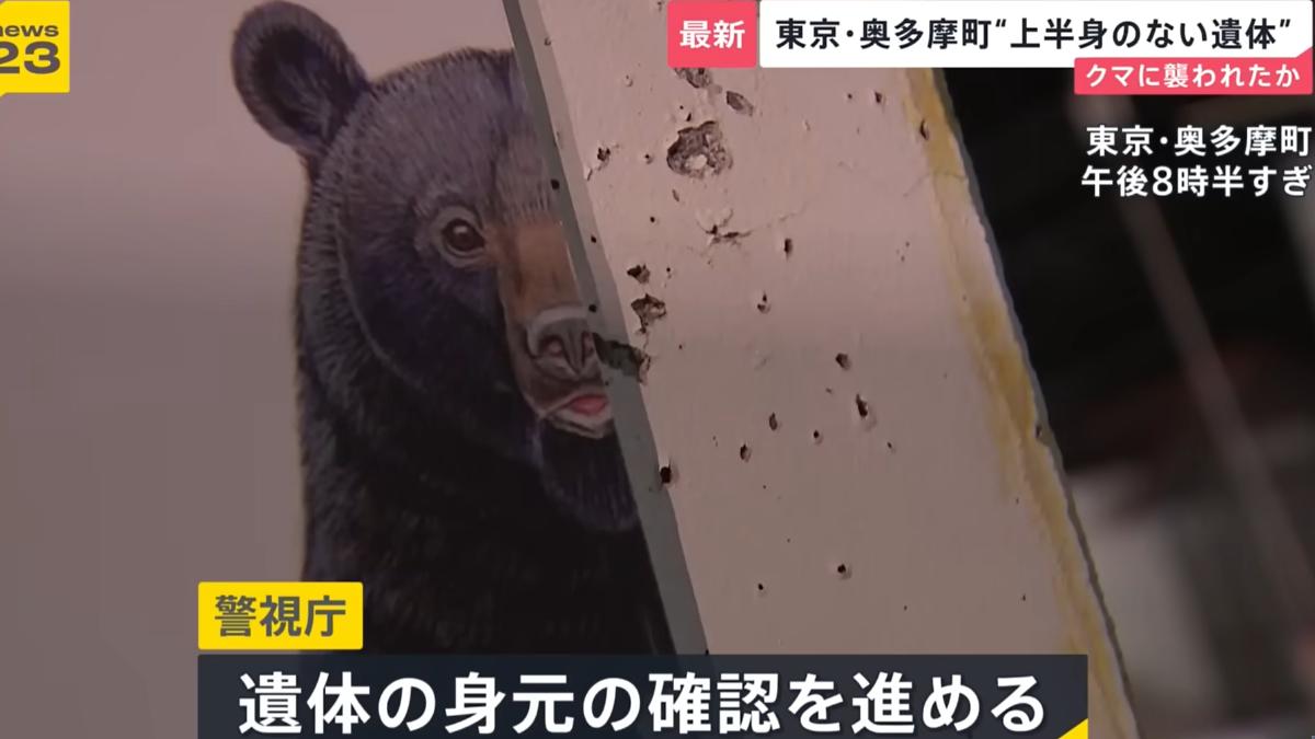 身上有撕咬痕跡...東京山區驚見「上半身消失」人屍 疑遭熊襲